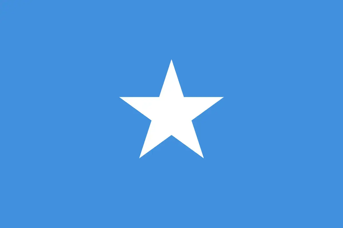 The national flag of Somalia